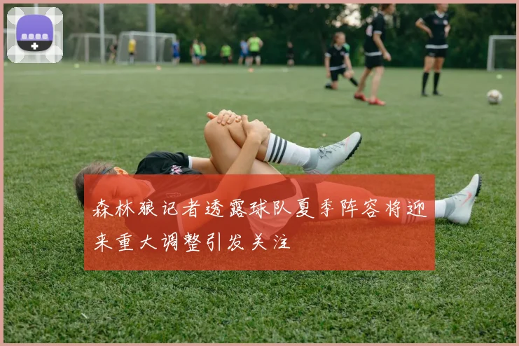 森林狼记者透露球队夏季阵容将迎来重大调整引发关注