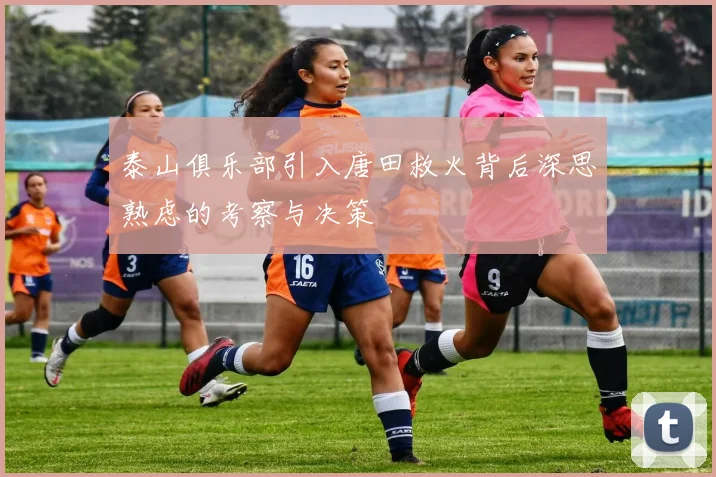 泰山俱乐部引入唐田救火背后深思熟虑的考察与决策