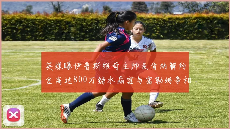 英媒曝伊普斯维奇主帅麦肯纳解约金高达800万镑水晶宫与富勒姆争相追逐